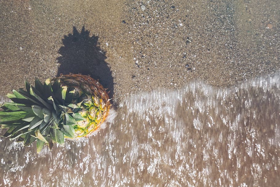 pineapple, beach, sand, water, motion, pebbles, fruit, tropical, HD wallpaper