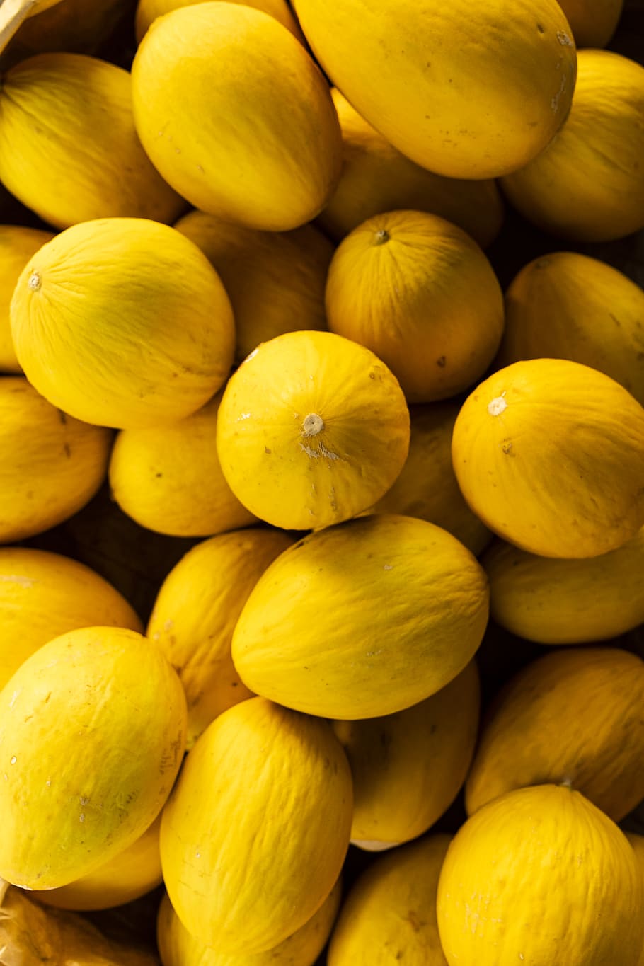 fruit, tropical, melon, beach, caribbean, yellow, organic, harvest HD wallpaper
