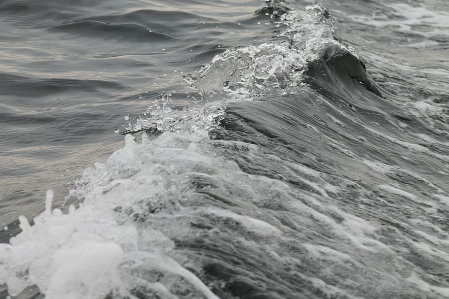 canada, wind, fresh, movement, sea, water, motion, sport, wave HD wallpaper