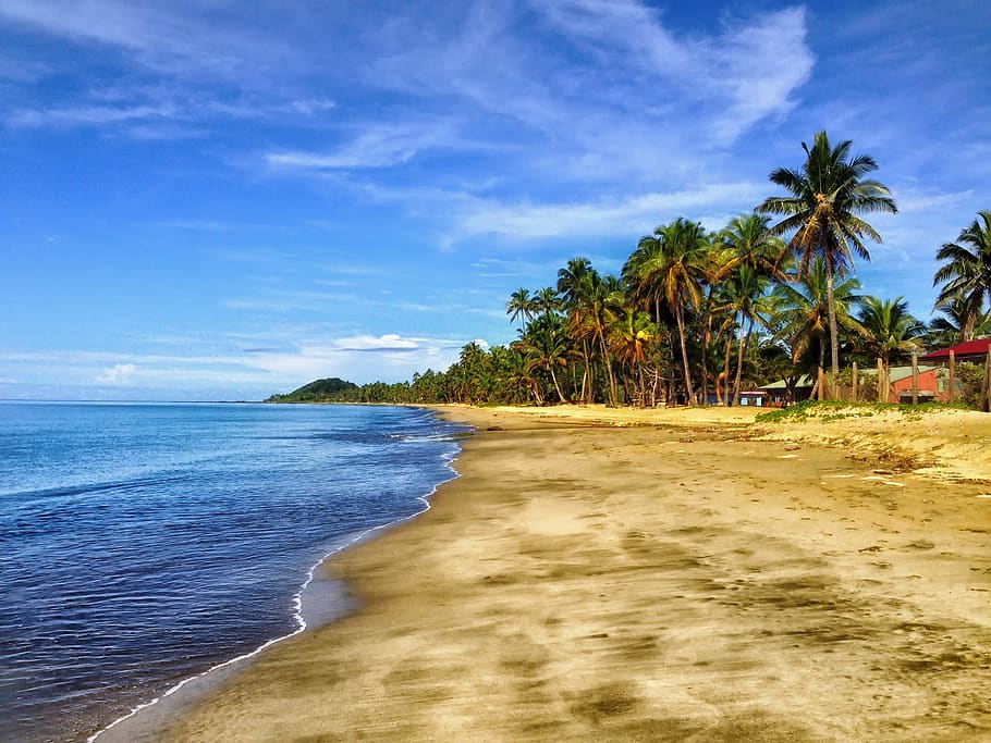 Ocean View Under Blue Sky, beach, clouds, coast, nature, palm trees HD wallpaper