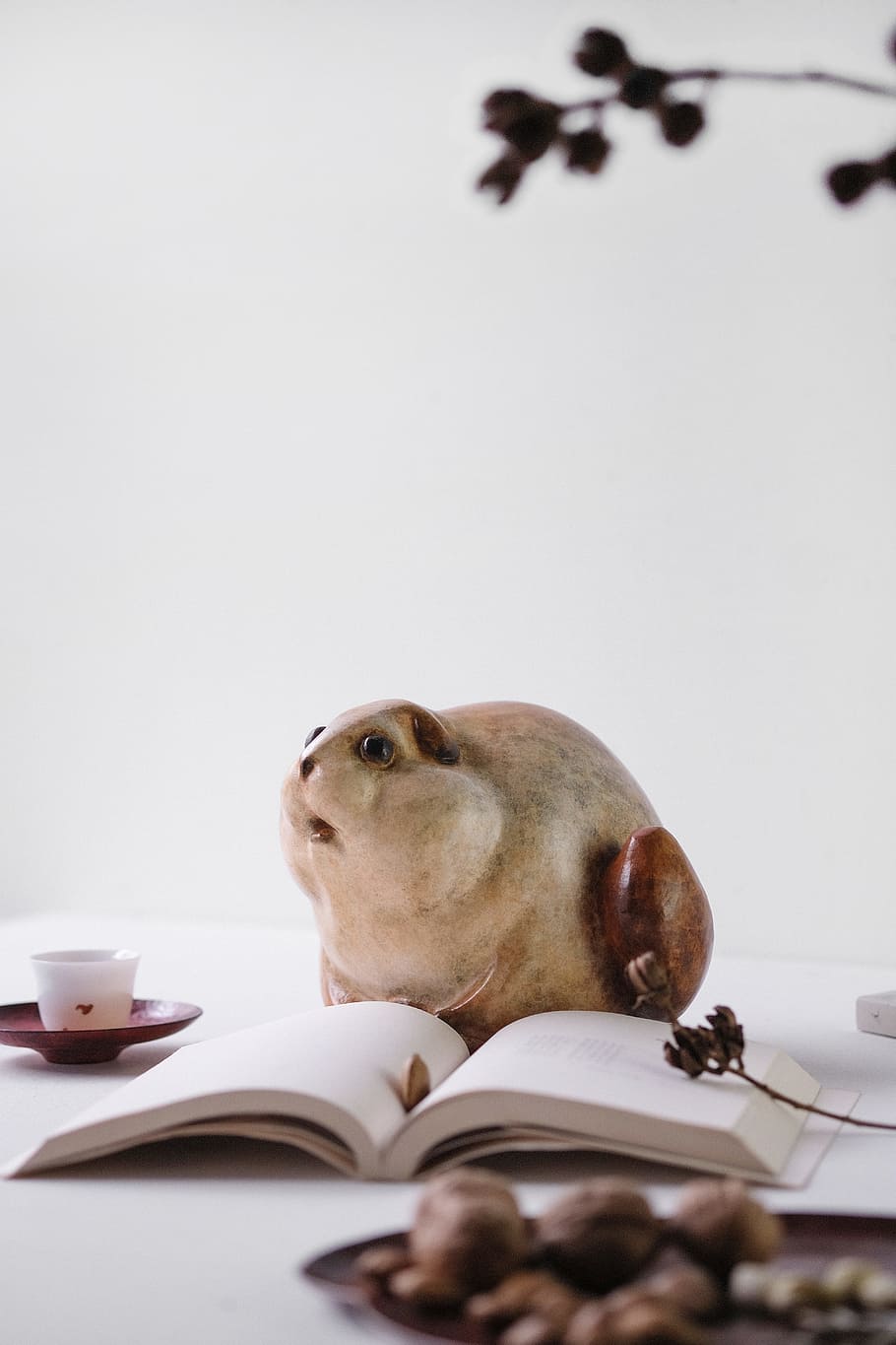 closeup photo of animal figurine near the book, sculpture, squirrel HD wallpaper