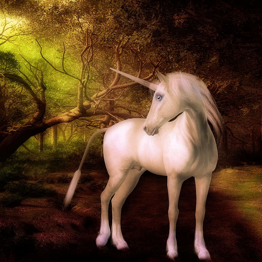 HD wallpaper unicorn fantasy creatures mane white horn toon