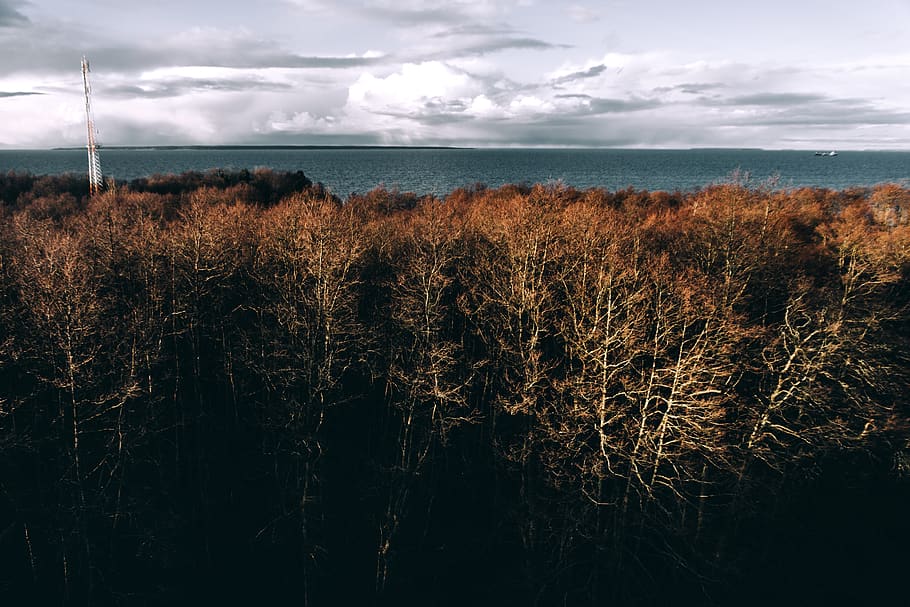 estonia, sky, cloud - sky, plant, beauty in nature, scenics - nature HD wallpaper