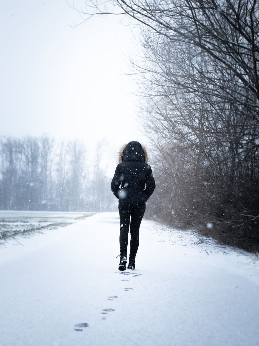 person standing beside bare trees, nature, outdoors, snow, winter HD wallpaper
