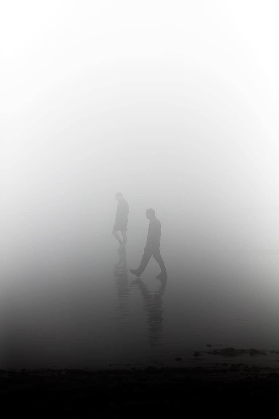 silhouette of man during foggy day, person, water, mist, eerie