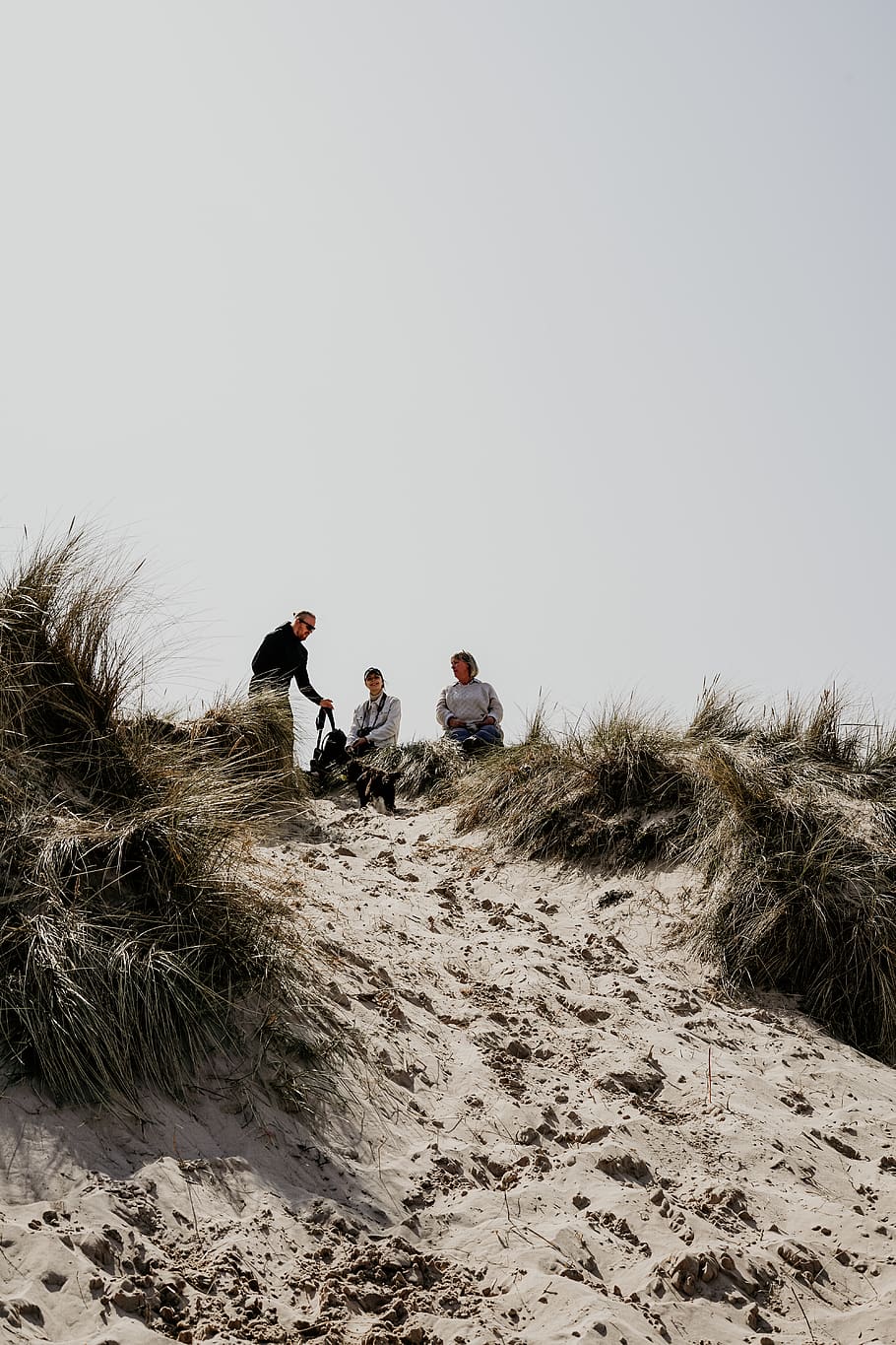 three men sitting on green grass, soil, outdoors, sand, nature HD wallpaper