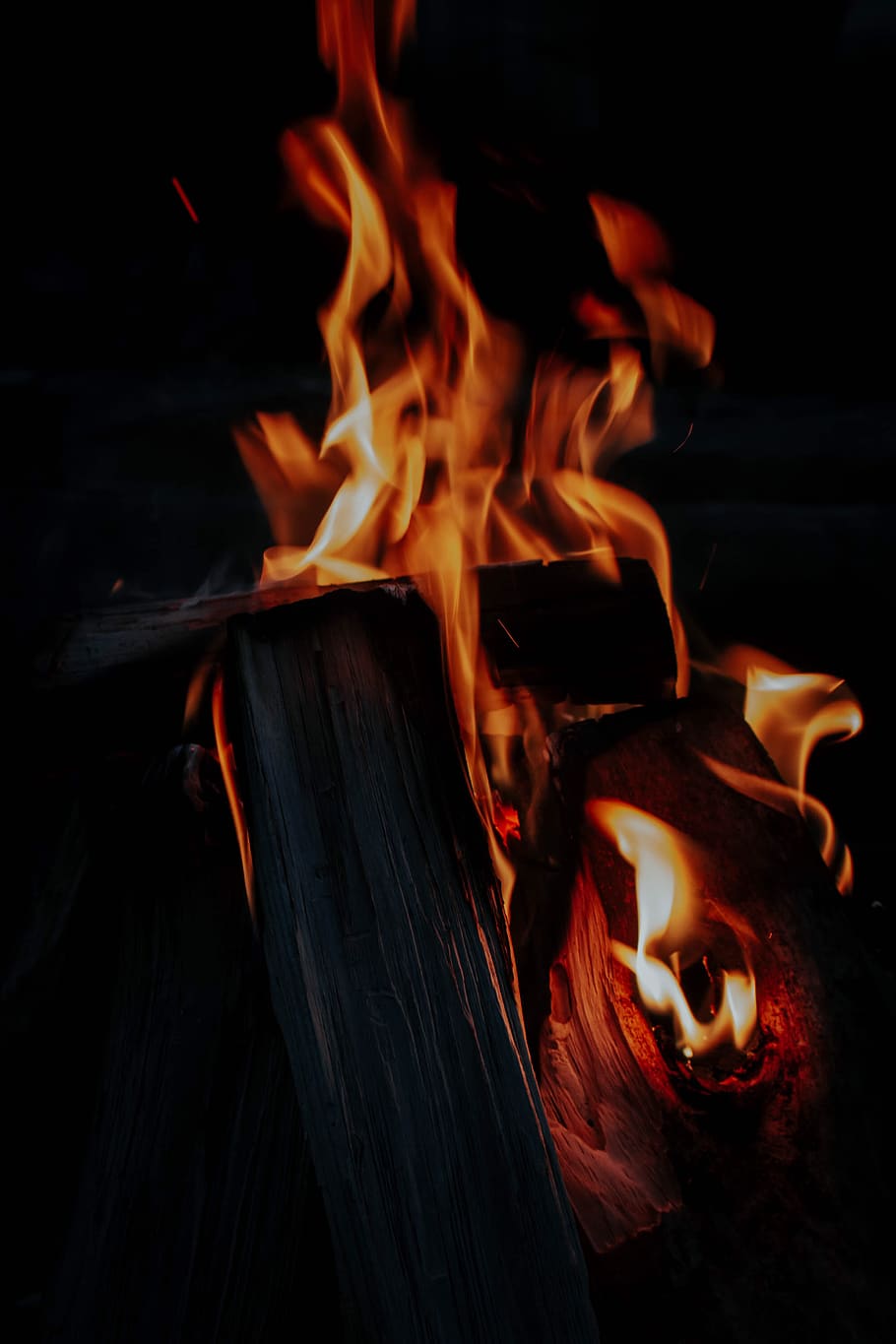bonfire, flame, camping, human, person, people, leisure activities HD wallpaper