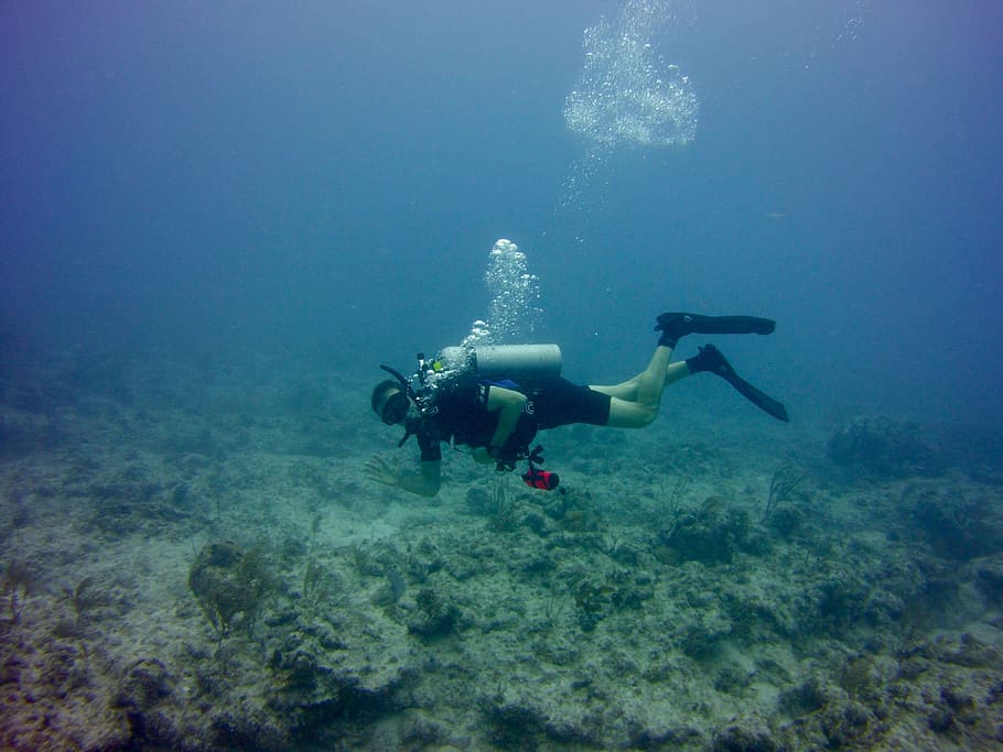 scuba-diving-islamorada-florida-reef.jpg