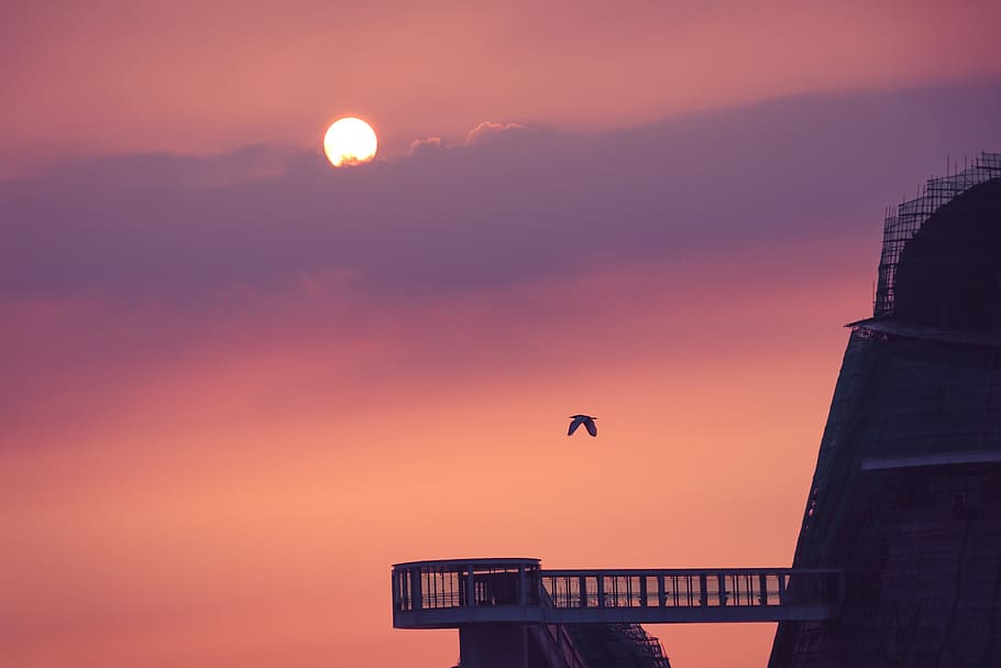 mountain castle under orange sky, animal, bird, building, adventure HD wallpaper