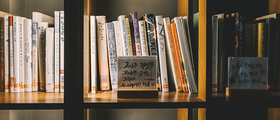book on shelf, furniture, bookcase, indoors, room, wood, library HD wallpaper