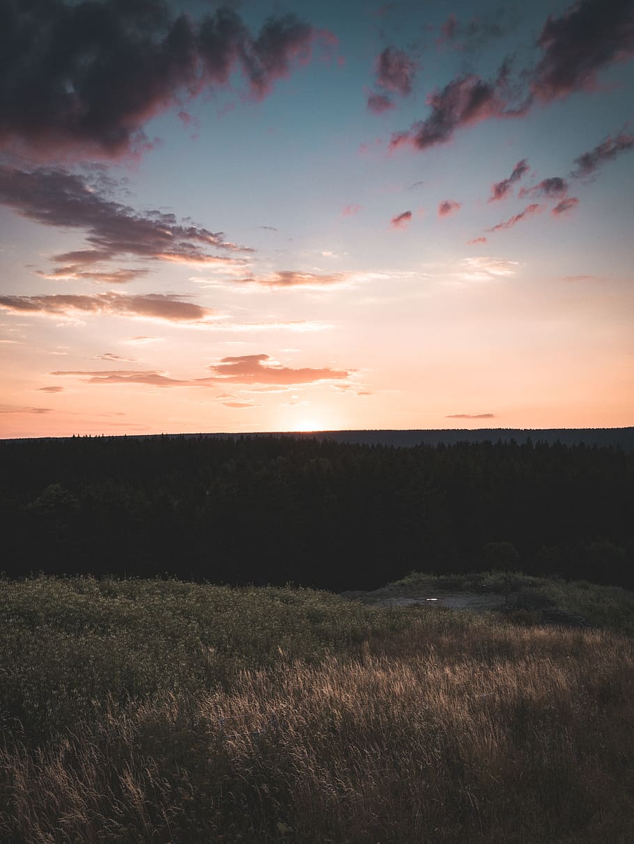 Panoramic Photo of Plains during Sunrise, backlit, beautiful HD wallpaper