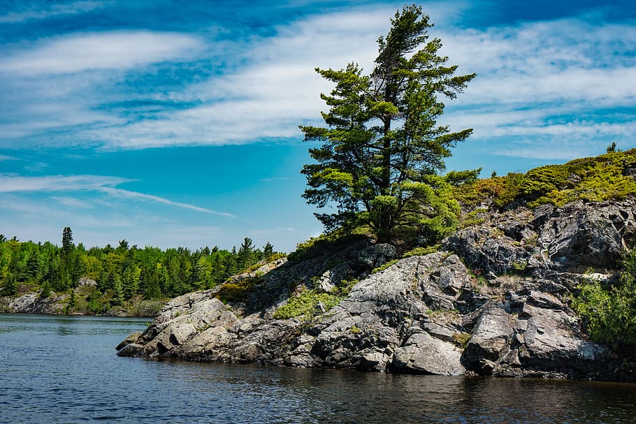 Trees Near Body of Water, beautiful, blue, clouds, daylight, landscape HD wallpaper