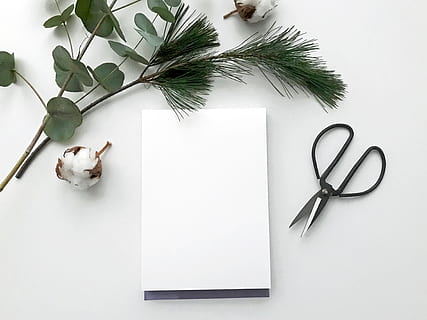 weaponry, scissors, blade, plant, art, flower, cotton, shears HD wallpaper