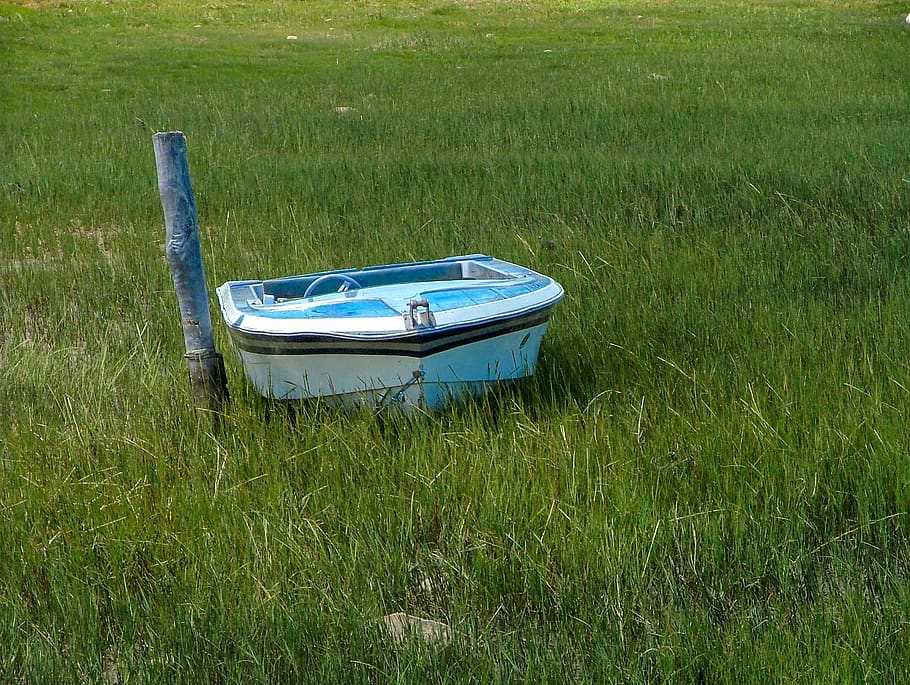 boat, grass, long grass, blue, blue boat, rowing boat, lagoon HD wallpaper