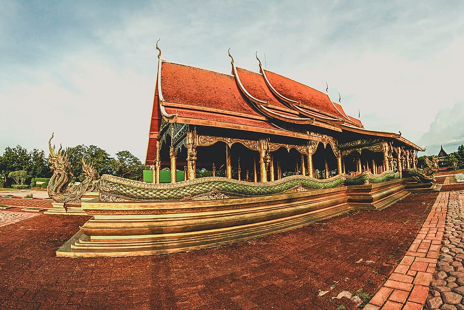 Temple Surrounded by Trees, ancient, architecture, Asian, background HD wallpaper