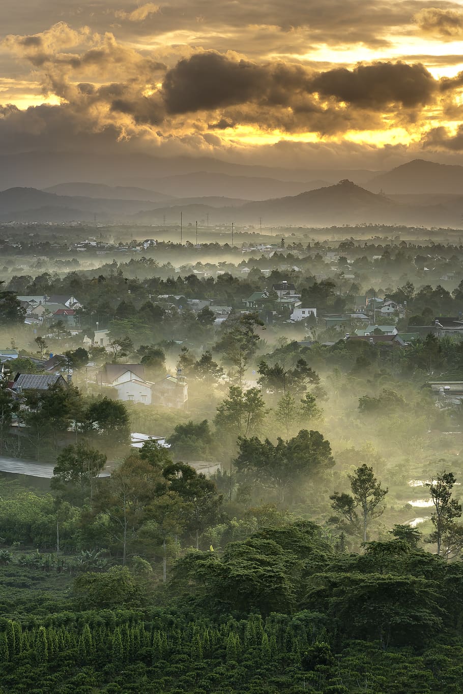 Fogs on the Ground With Trees and Houses, clouds, cloudscape HD wallpaper