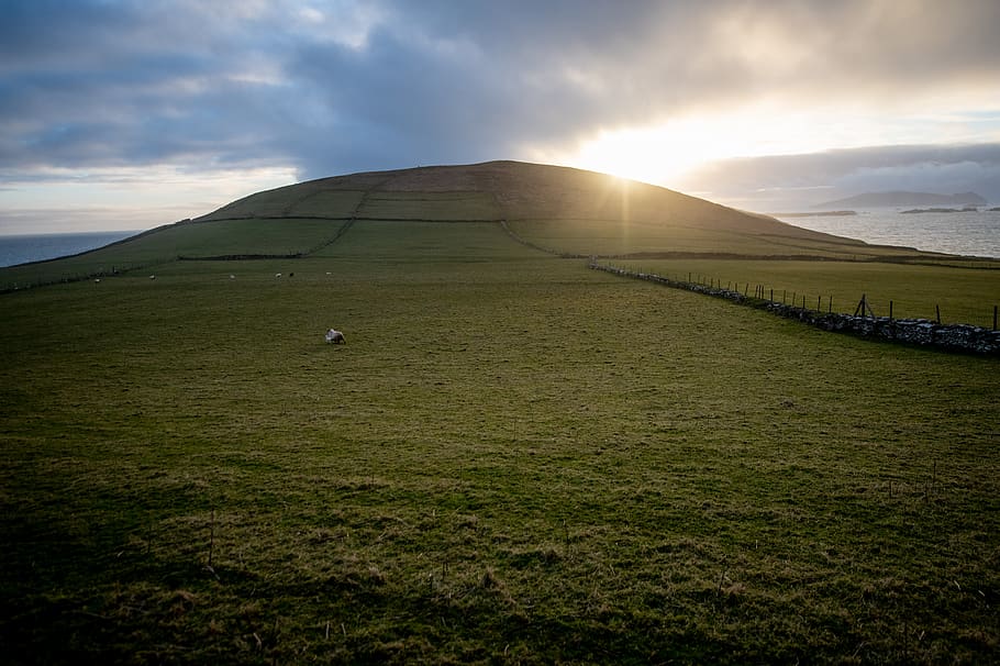 green grass field hill, sky, cloud - sky, beauty in nature, scenics - nature HD wallpaper