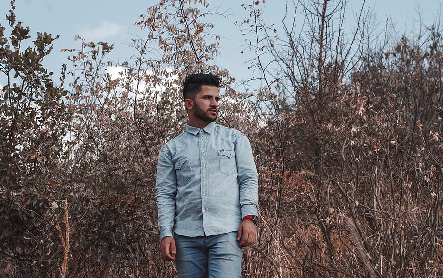 america, young men, young adult, tree, one person, standing HD wallpaper