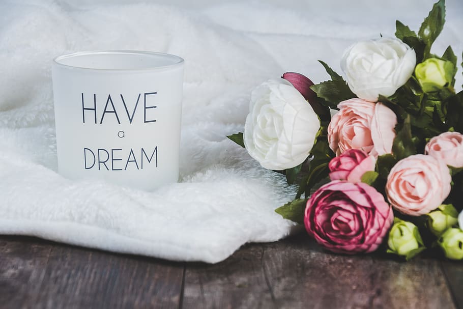 dreams, white background, flowers, beautiful, rose, desktop background HD wallpaper