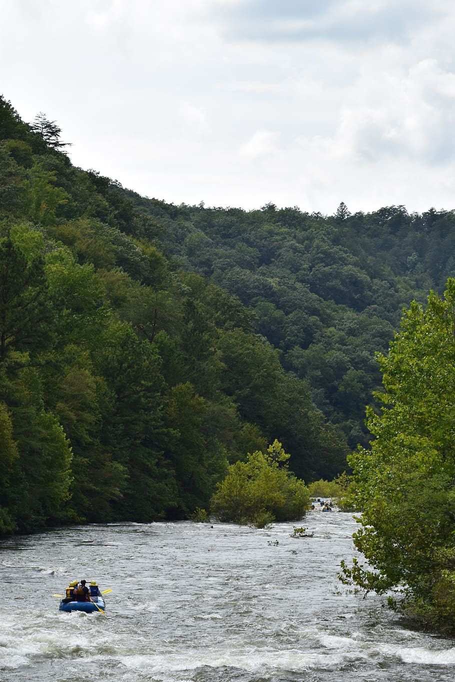 united states, ocoee river, forest, trees, woods, rafting, water HD wallpaper