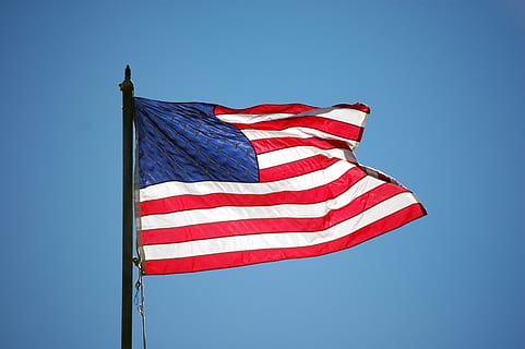 American flag hoisted on pole, symbol, patriotic, white, red HD wallpaper
