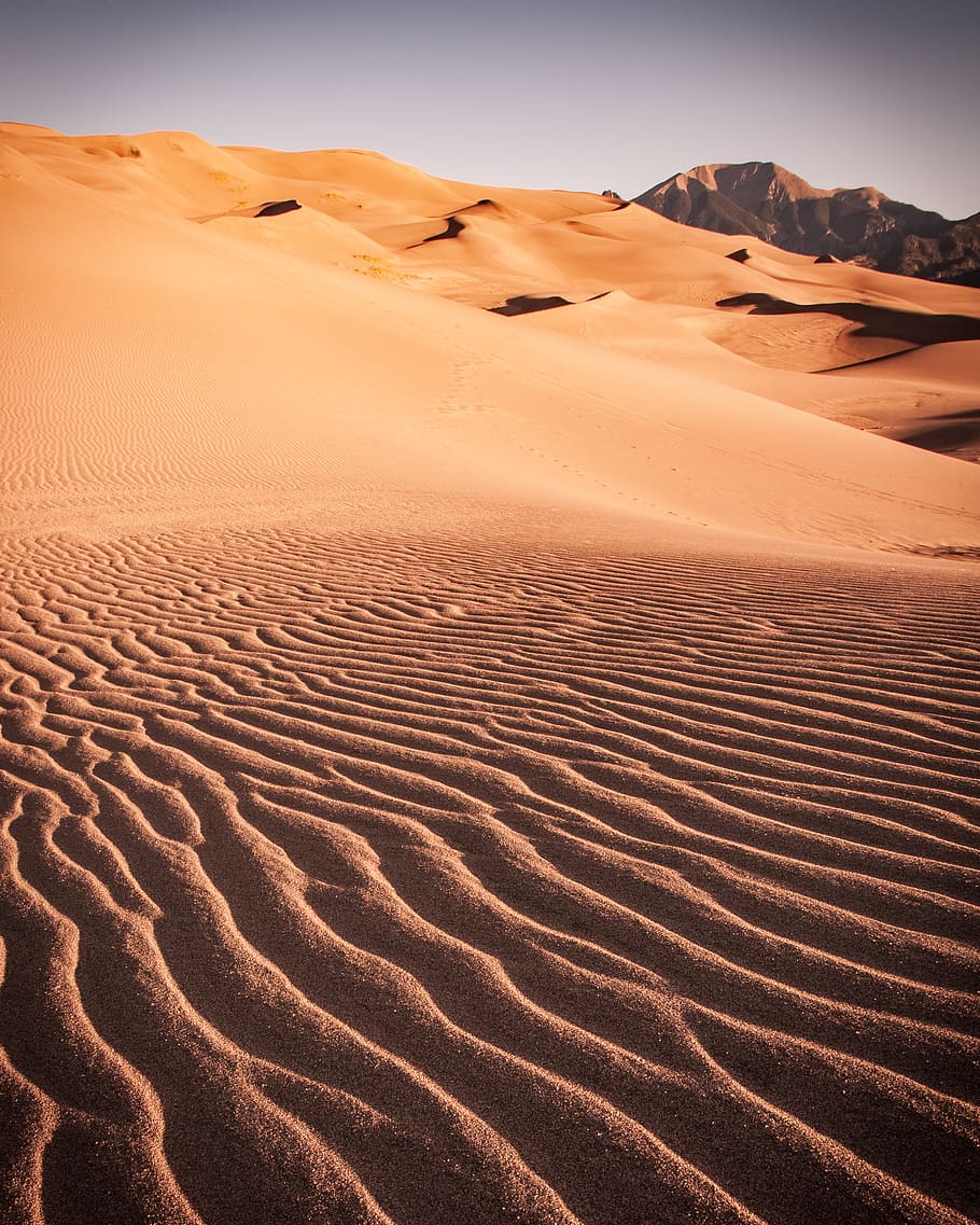 brown sand, sand dune, desert, scenics - nature, land, climate HD wallpaper