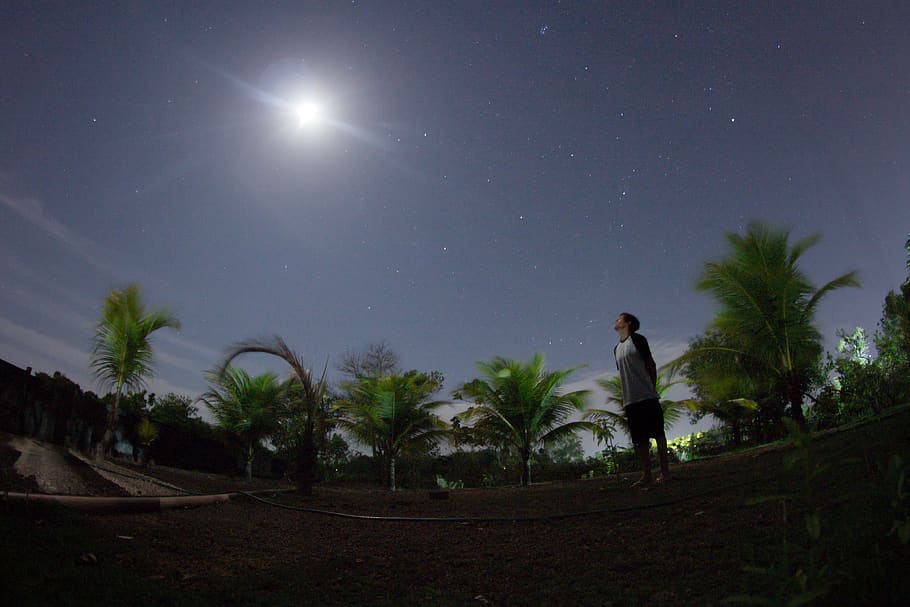 brazil, macapá, moon, explore, stars, night, moonlight, trees HD wallpaper