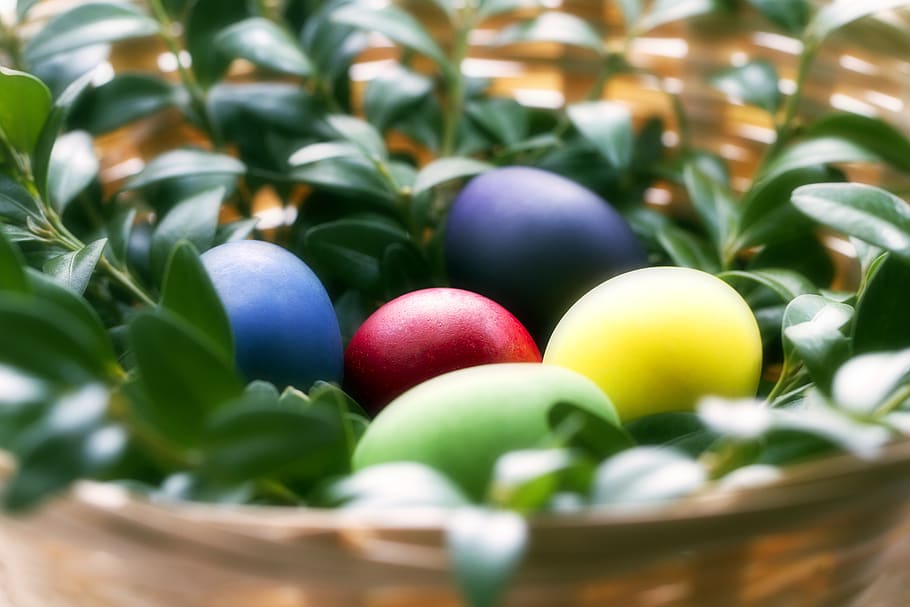 easter, eggs, multi colored, rainbow, blue, green, yellow, purple HD wallpaper