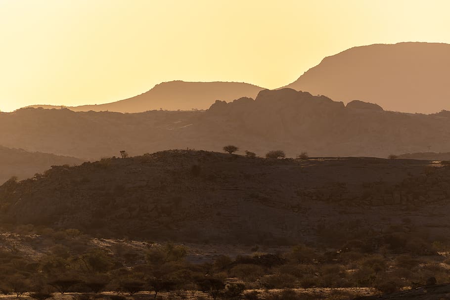 sunset, africa, namibia, sky, landscape, silhouette, tree, animal world HD wallpaper
