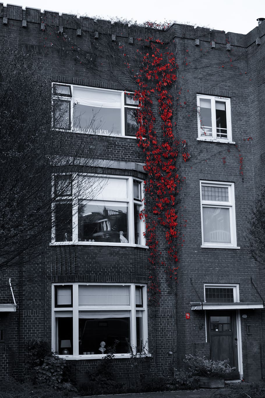 red, vines, bricks, windows, building, apartment, building exterior HD wallpaper