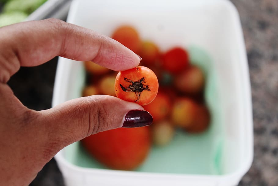 tomate, fruit, vegetal, human hand, human body part, food and drink HD wallpaper