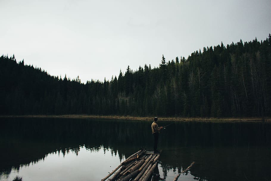 tree, trees, lake, forest, pond, fish, fishing, outdoor, camping HD wallpaper