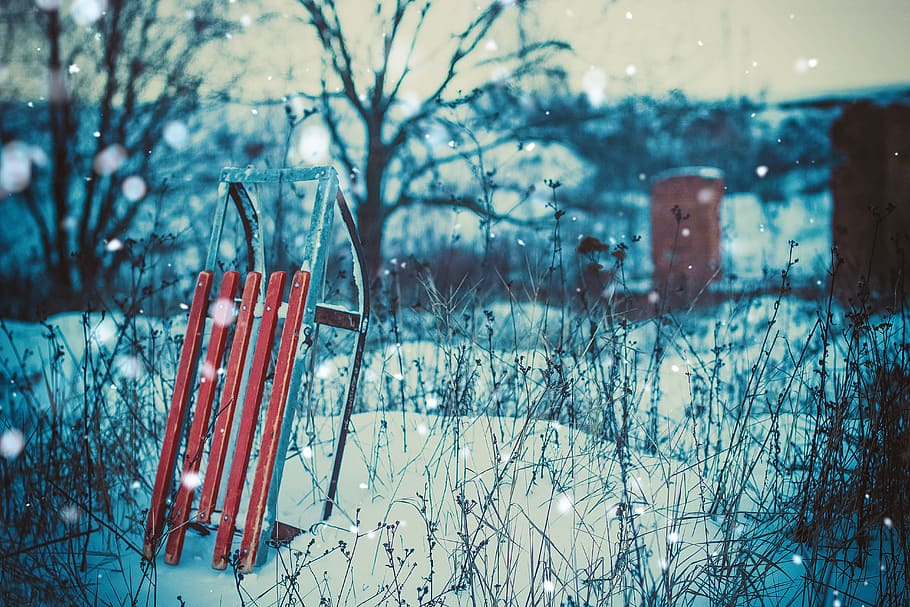ukraine, winter, cold, snow, sled, cold temperature, tree, plant HD wallpaper