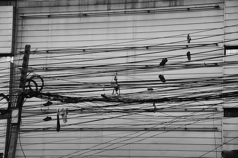 bird, animal, wire, human, person, barbed wire, cable, utility pole HD wallpaper