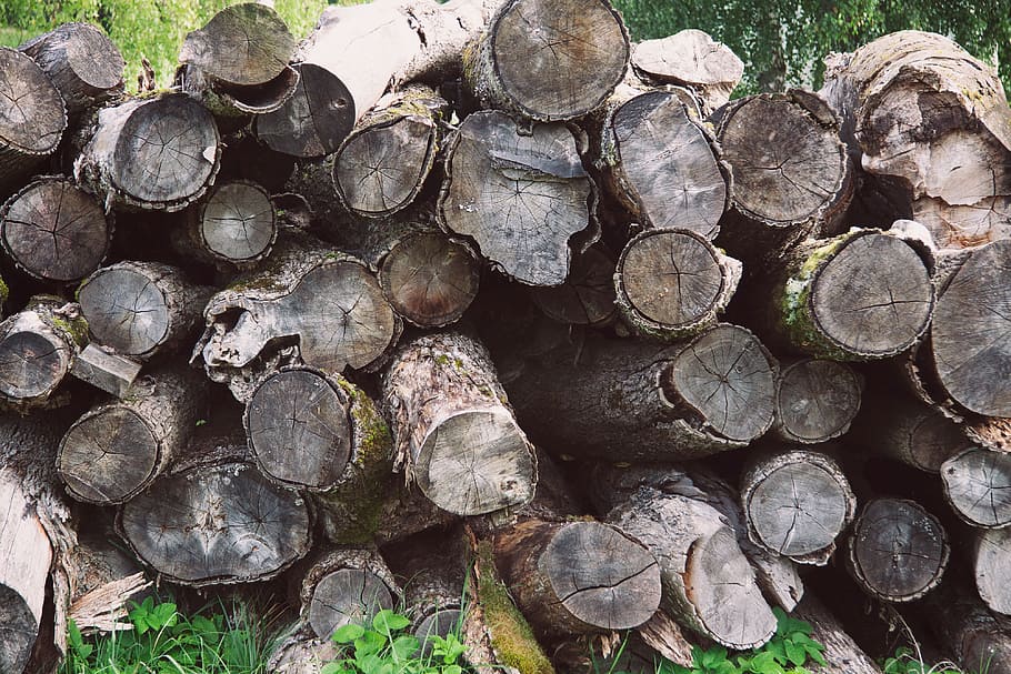 Wood log pile, aging, bark, branch, brown, construction, cracked, HD wallpaper