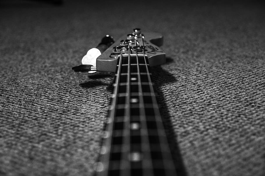 800 Free Bass  Music Images  Pixabay