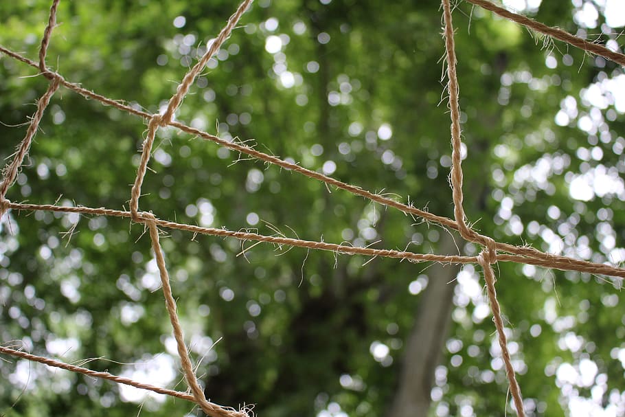 tree, rope, sky, clouds, nature, architecture, network, mesh HD wallpaper
