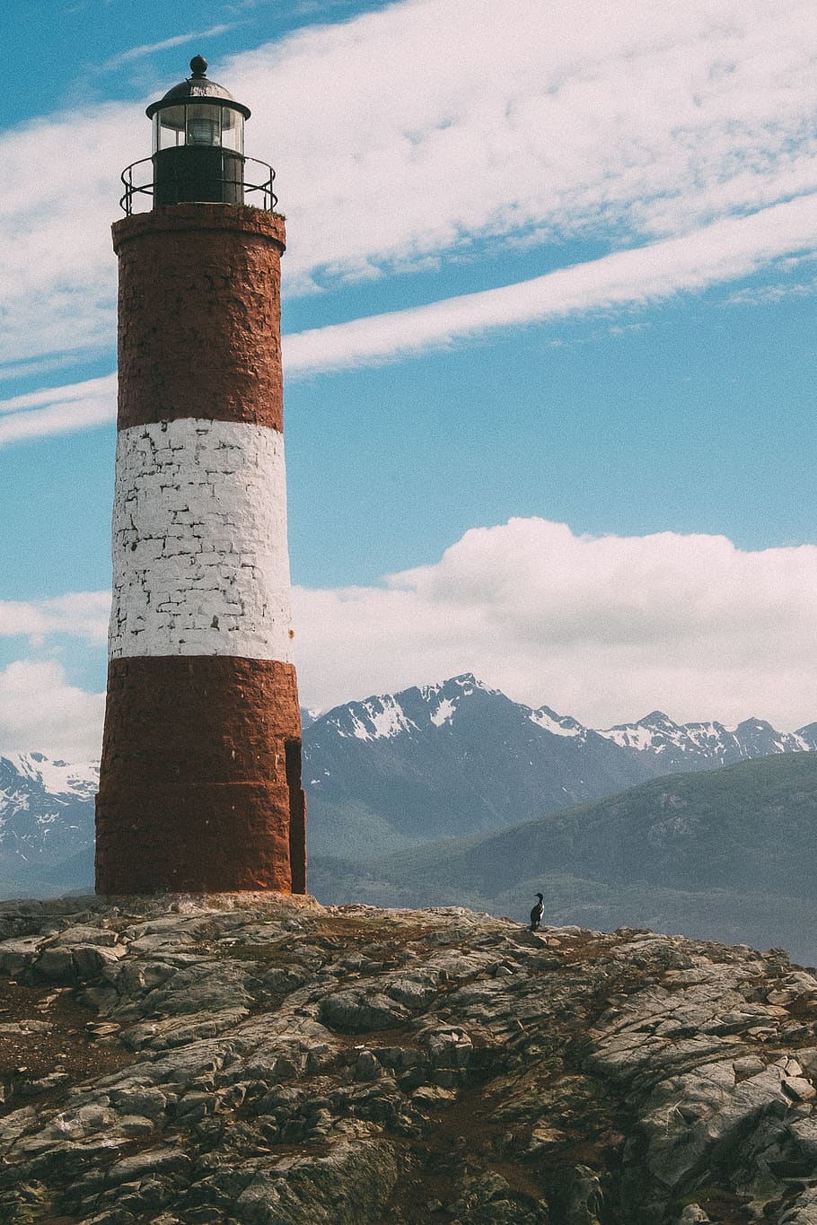 ushuaia, argentina, patagonia, penguin, lighthouse, mountains, HD wallpaper