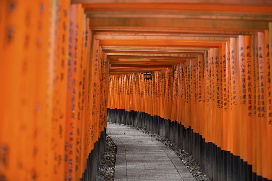 architecture, building, infrastructure, establishment, orange HD wallpaper