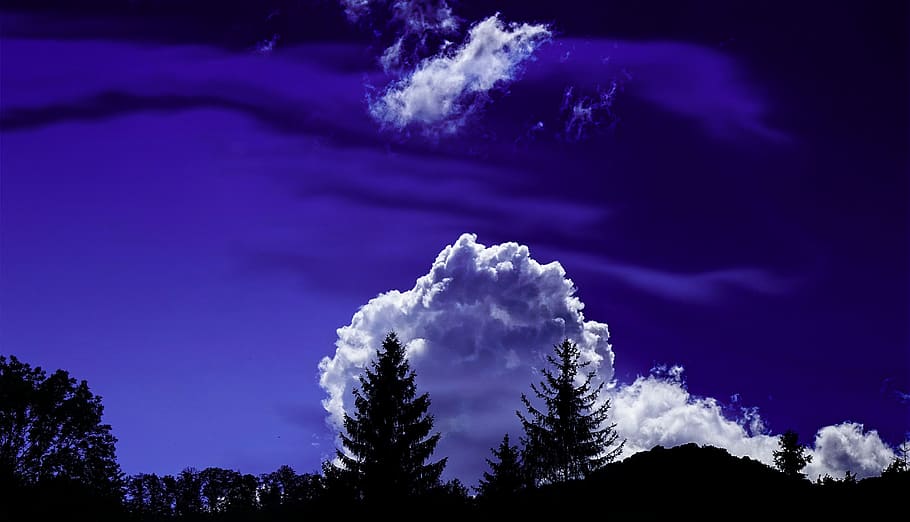 Trees Under White Clouds and Blue Sky, backlit, cloudiness, cloudscape HD wallpaper