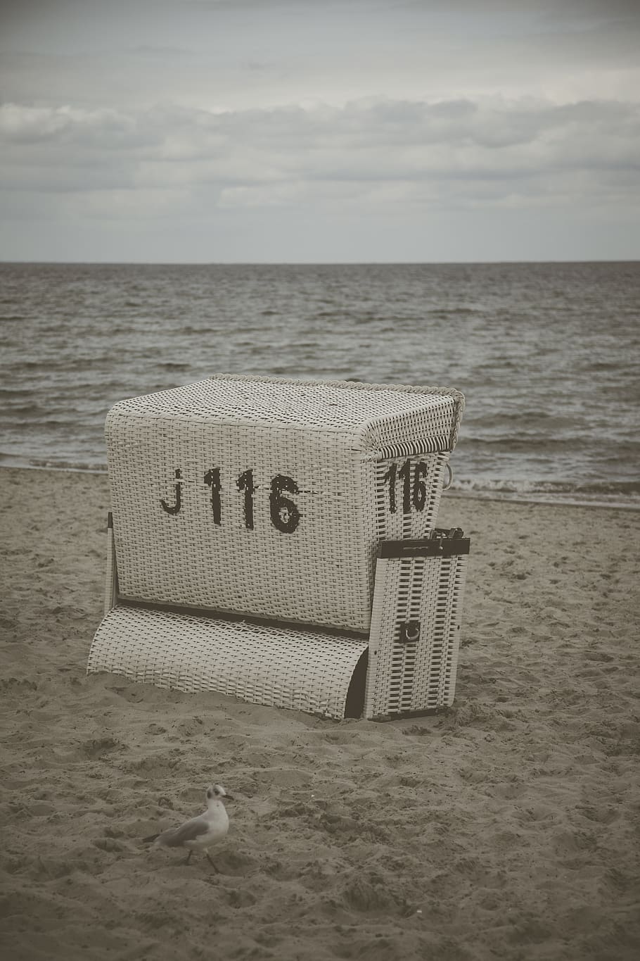 white wicker basket numbered 116 on beach, furniture, animal, HD wallpaper