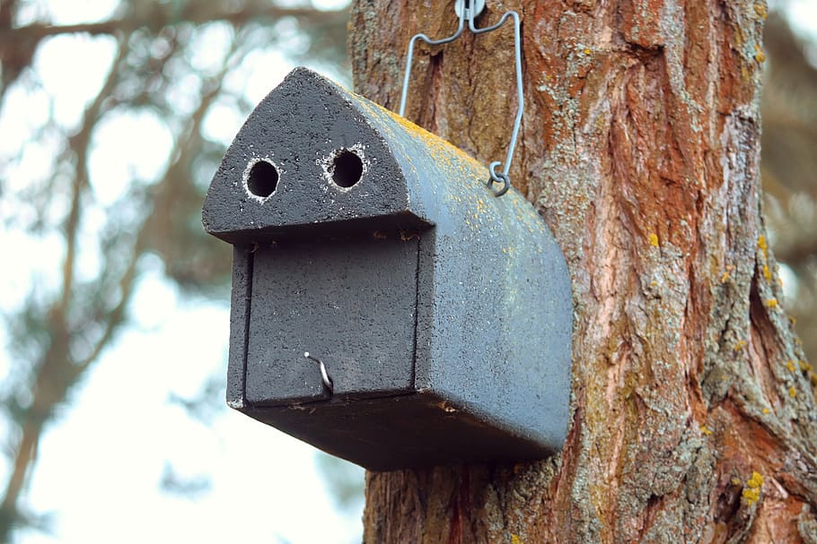 aviary, nesting box, nature conservation, bird feeder, tree
