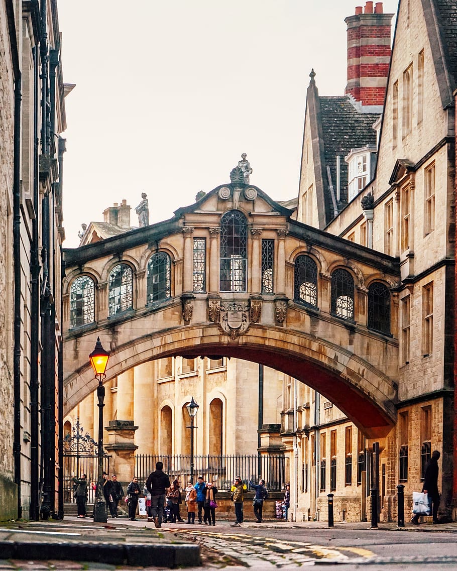man under bridge, architecture, built structure, building exterior HD wallpaper