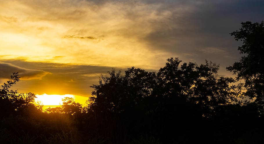 sunlight, nature, outdoors, flare, sky, dawn, dusk, red sky HD wallpaper