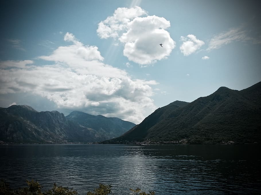 montenegro, kotor, clouds, gull, water, sky, mountains, cloud - sky HD wallpaper