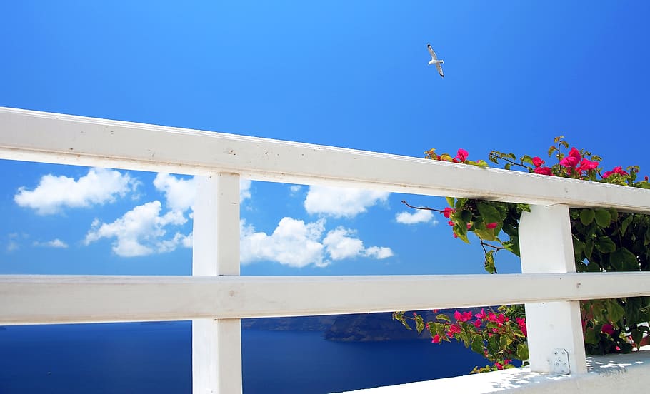 greece, santorini, clouds, summer, blue, bird, flowers, white HD wallpaper
