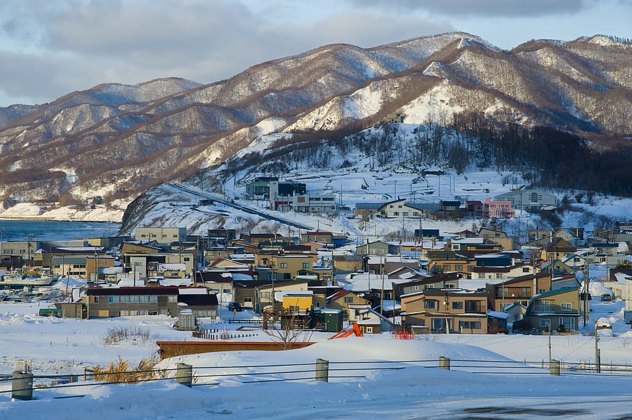 japan, hokkaido, winter, snow, sapporo, cold temperature, mountain, HD wallpaper