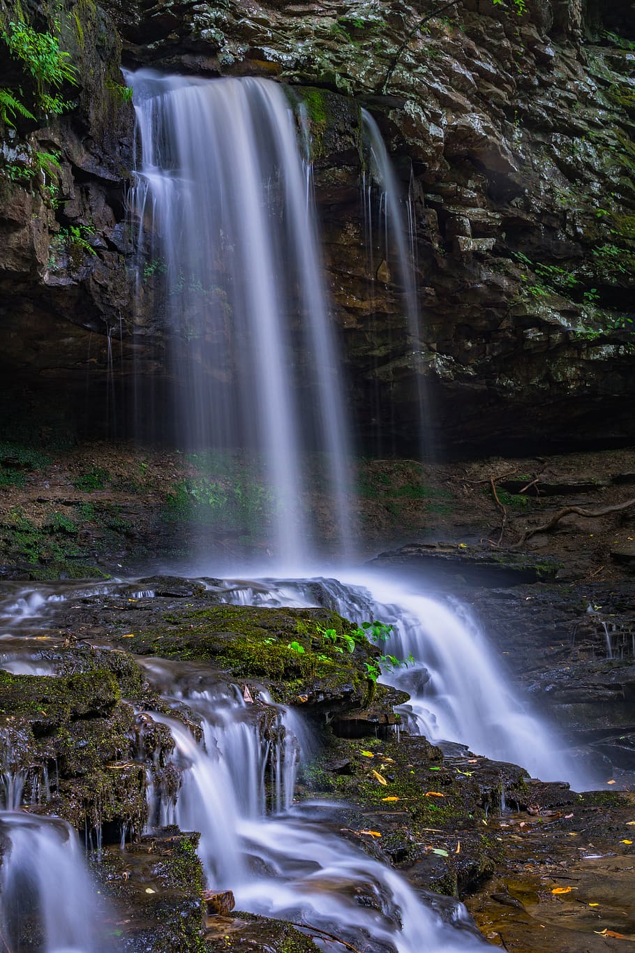 united states, rising fawn, cloudland canyon state park, night, HD wallpaper