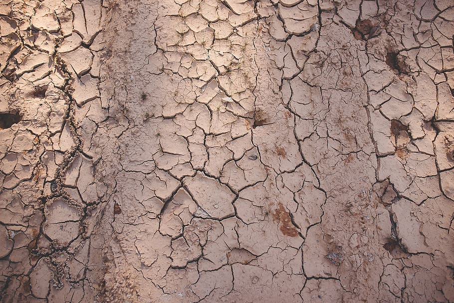 white wall paint, cracked, dry, climate, backgrounds, drought HD wallpaper