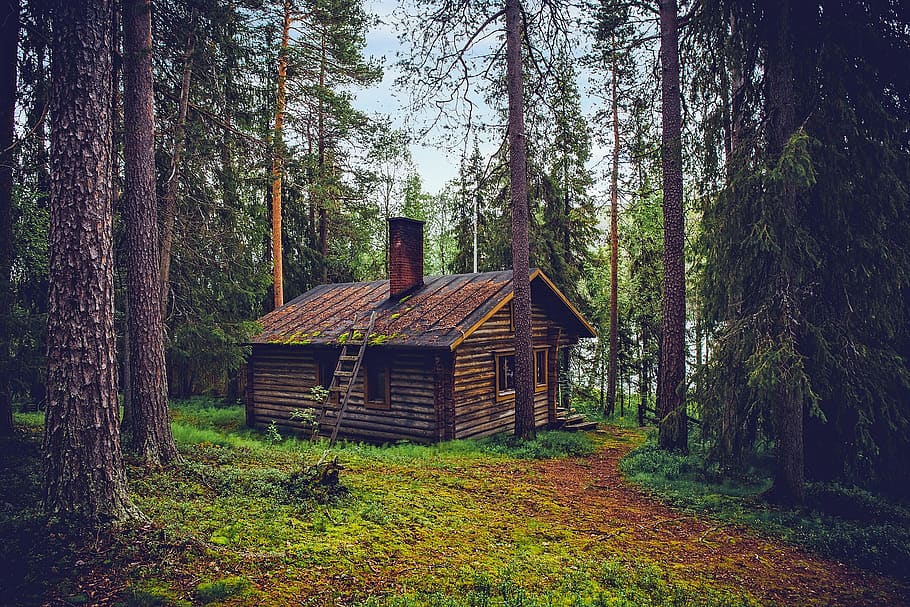 log cabin, cottage, house, home, finland, landscape, nature, HD wallpaper